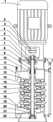 DL立式清水低转速多级泵结构示意图