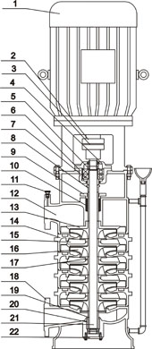 DL立式多级低转速清水泵结构示意图