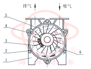 水环式真空泵及压缩机工作原理图