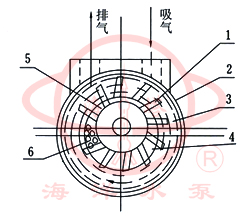 SK直联水环式真空泵工作原理