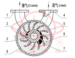 2SK双级水环式真空泵工作原理指示图