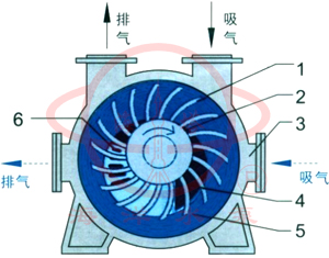 2BE1水环式真空泵示意图